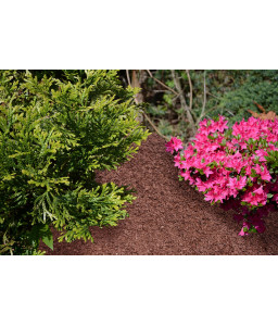 Decorative brown WOOD CHIPS