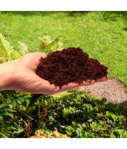 Coco peat fraction 10mm 5L