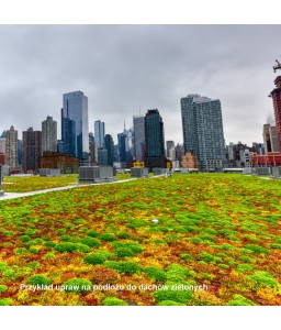 Substrate substrate for green roofs (extensive crops)