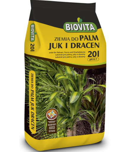 Ziemia do palm, juk i dracen
