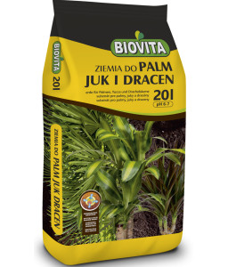 Ziemia do palm, juk i dracen