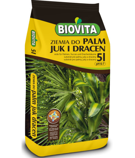 Ziemia do palm, juk i dracen