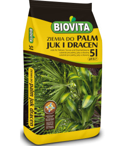 Ziemia do palm, juk i dracen