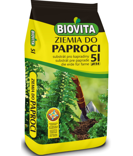 Ziemia do paproci