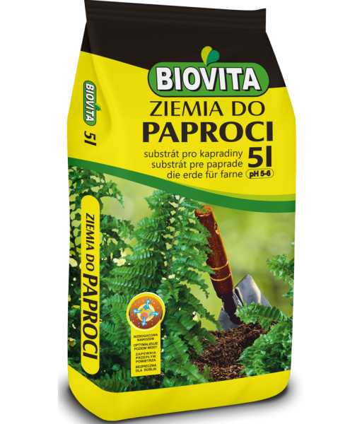 Soil for ferns