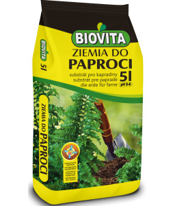 Ziemia do paproci