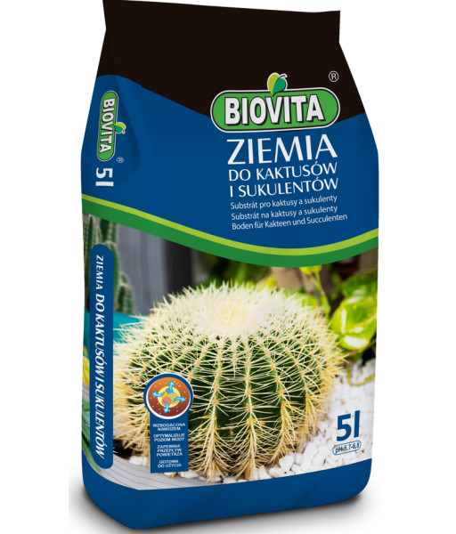 Soil for growing cacti and succulents
