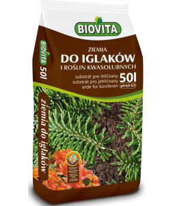Ziemia do iglaków i roślin kwasolubnych