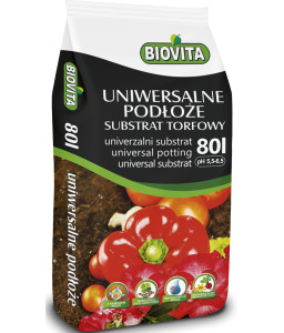 Universal Substrate