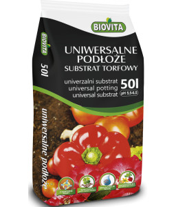 Universal Substrate