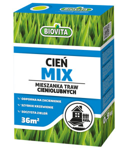 Cieńmix grass seeds mix for shady places