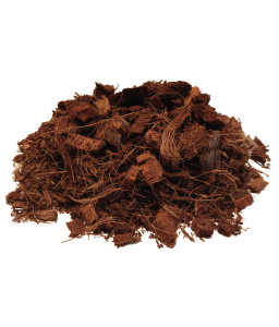 Coco chips