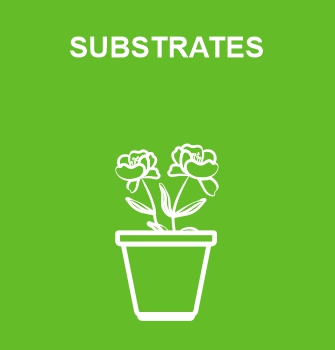 Soil and Substrates