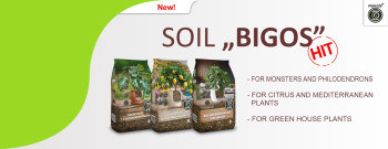 Soil BIGOS